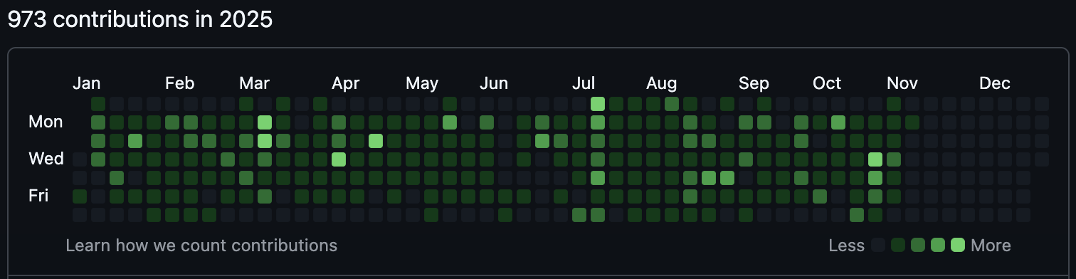 GitHub Activity 2025
